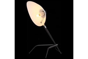 Настольная лампа декоративная ST-Luce Spruzzo SL305.404.01 - 3