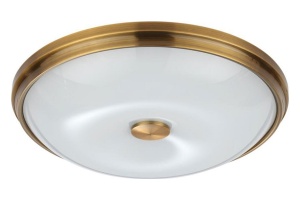 Потолочный светильник Odeon Light Walli Pelow 4956/4