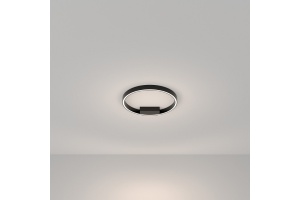 Накладной светильник Maytoni Rim MOD058CL-L25BK - 2