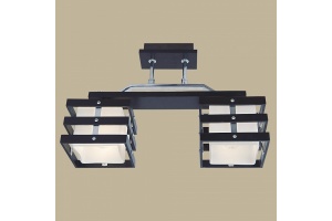 Потолочный светильник Citilux Киото CL133221 - 2