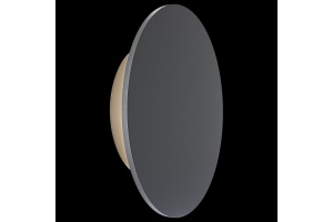 Накладной светильник Maytoni Wald O420WL-L12GF - 2