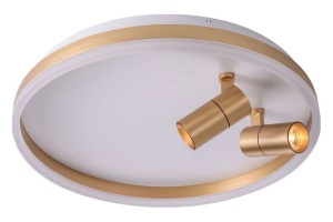 Накладной светильник Zortes Raizy ZRS.1888.02 - 3