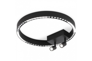 Накладной светильник Ambrella Light FL FL5806