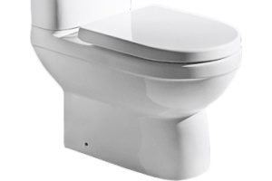 Чаша для унитаза-компакта Bravat New Moon CX01019UW-P-RUS