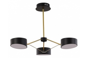 Люстра на штанге EVOLUCE Valle SLE6005-402-03