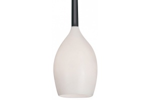 Подвесной светильник Lightstar Meta Duovo 807110 - 3