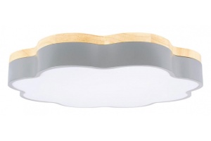 Накладной светильник Loft it Axel 10225/36 Grey - 3