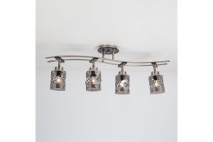 Спот Citilux Мерида CL142145