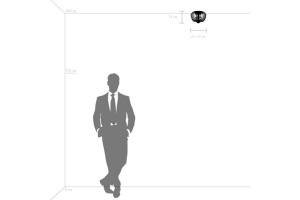 Накладной светильник Lightstar Celesta 809003 - 3