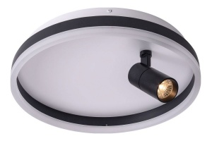 Накладной светильник Zortes Raizy ZRS.1888.03
