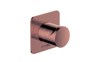 A287 Переключатель на 2 выхода - 2