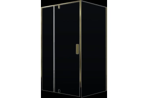 Душевой уголок WasserKRAFT Aisch 100x80 профиль золото стекло прозрачное - 2
