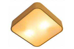 Накладной светильник Arte Lamp Cosmopolitan A7210PL-2GO