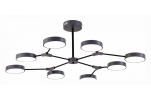 Люстра на штанге EVOLUCE Monta SLE6003-702-08 - 2