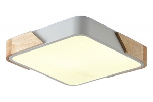 Накладной светильник Zortes ALBERRO ZRS.01285.60 - 2