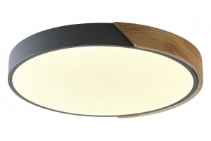 Накладной светильник Zortes ALBERRO ZRS.01280.72 - 3