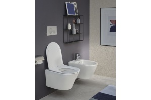 Унитаз подвесной Jacob Delafon Rodin+ EDY102-00 - 3