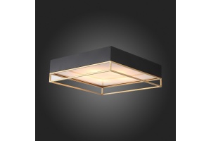 Накладной светильник ST-Luce Chodo SL1127.422.05 - 3