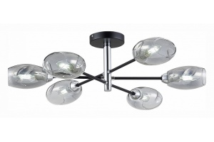 Люстра на штанге EVOLUCE Gloa SLE155512-06