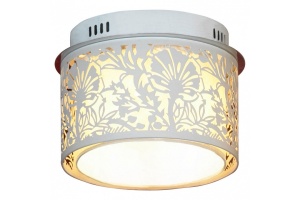 Накладной светильник Lussole Vetere LSF-2307-04