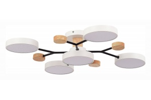 Потолочная люстра EVOLUCE Faema SLE6006-502-05