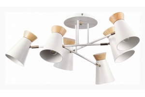 Потолочная люстра EVOLUCE Alfeo SLE1252-502-06 - 2