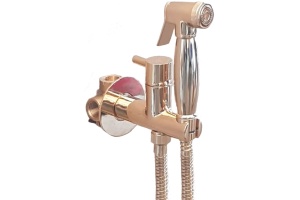Гигиенический душ со смесителем Webert Elio EL870301010, metal, золото