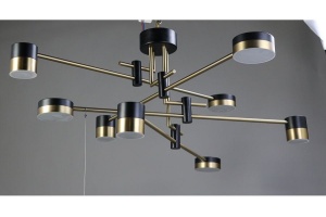 Люстра на штанге Zortes Lunar ZRS.1805.08 - 2