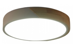 Накладной светильник Zortes ALBERRO ZRS.01289.24 - 3