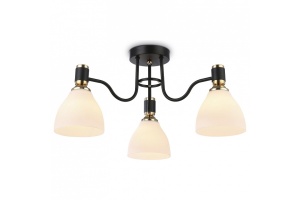 Потолочная люстра Ambrella Light TR TR303303