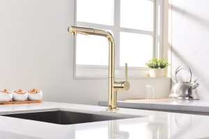 Смеситель для кухни Paulmark Neo золото - 2
