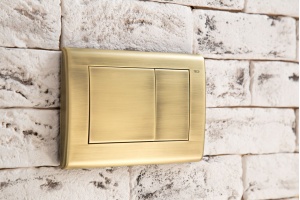 Кнопка смыва TECE Planus 9240366 состаренная латунь - 2