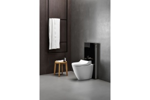 Крышка-сиденье Geberit AquaClean Tuma Comfort вставка черное стекло, с функцией биде 146.274.SJ.1 - 2