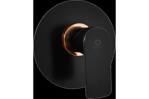 Смеситель для душа Rav Slezak Vltava черный матовый - золото