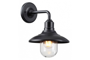 Уличный настенный светильник Odeon Light Nature Campa 4965/1W - 2