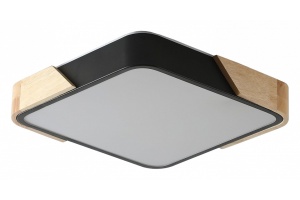 Накладной светильник Zortes ALBERRO ZRS.01281.36