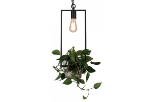 Подвесной светильник Favourite Situla 1975-1P