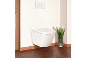 Крышка-сиденье BelBagno BB2002SC с микролифтом, петли хром - 2