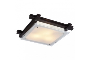 Накладной светильник Arte Lamp Archimede A6462PL-3CK