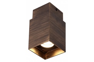 Накладной светильник Favourite Retro 2794-1C