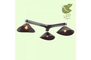 Потолочная люстра Lussole Opelika GRLSP-9534 - 3