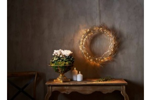 Венок световой Eglo ПРОМО Fizzy 411421 - 2