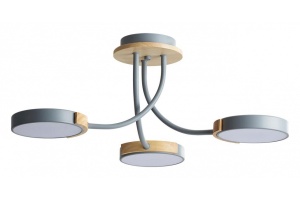 Люстра на штанге Lumion Arley 5655/54CL