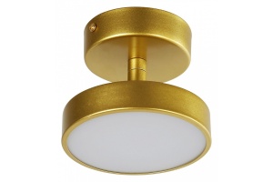 Светильник на штанге F-promo Atma 3059-1P