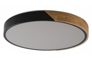 Накладной светильник Zortes ALBERRO ZRS.01237.90