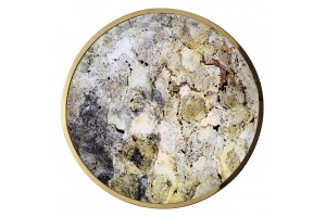 Накладной светильник Odeon Light Bergi 5079/50L