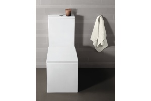 Чаша для унитаза-компакта Simas Frozen FZ 07 - 2