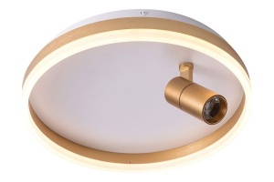 Накладной светильник Zortes Raizy ZRS.1888.04 - 2