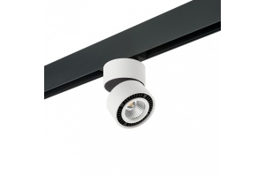 Светильник на штанге Lightstar Forte Muro PRO213816