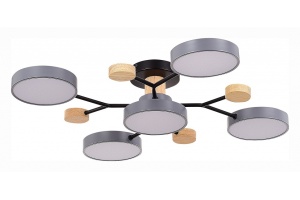 Потолочная люстра EVOLUCE Faema SLE6006-702-05